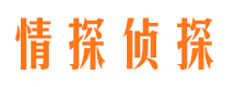 船山市私家侦探